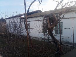 Shoshilinch uy sotiladi