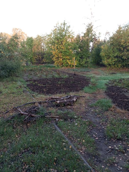 Продам дачу сад здоровье