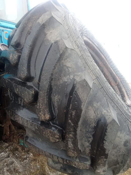 Шина продам 21.3R24