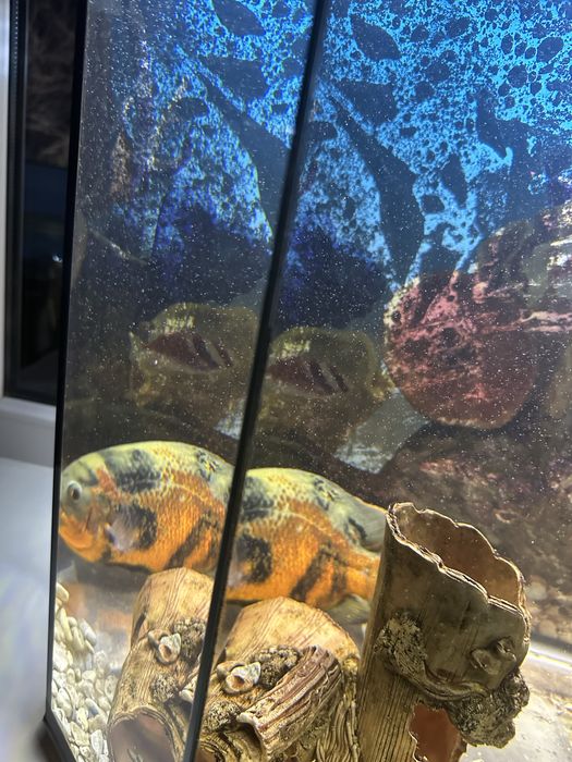 Продам красивый аквариум