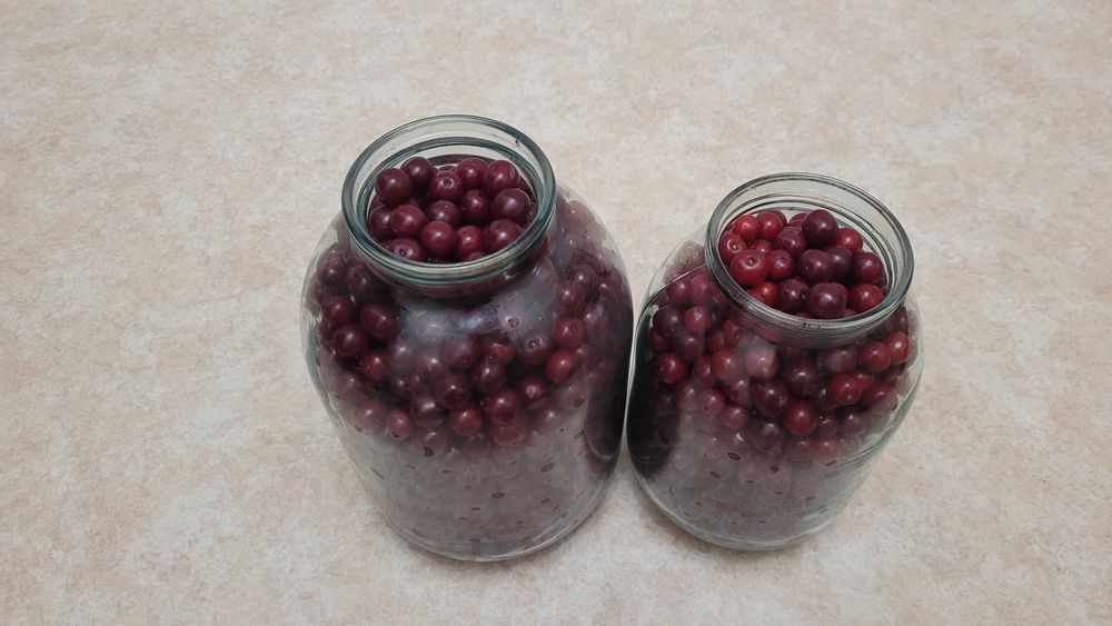 Продам вишню домашнюю