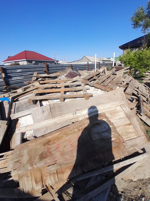 Ағаштар тегін тегін тегін