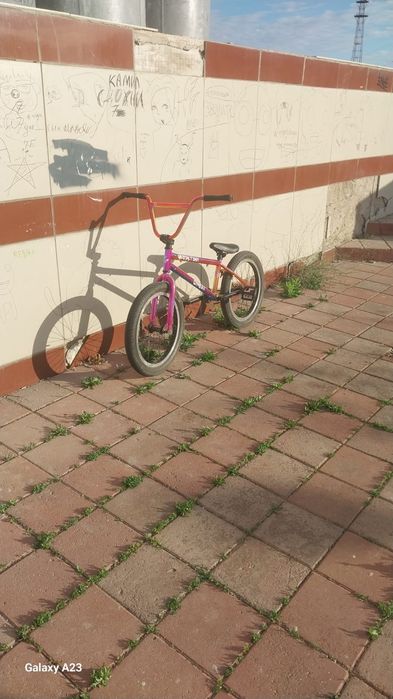 Bmx Gestal group 2025