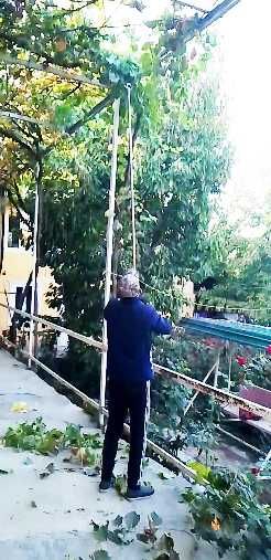 Секатор Высоторез механический .