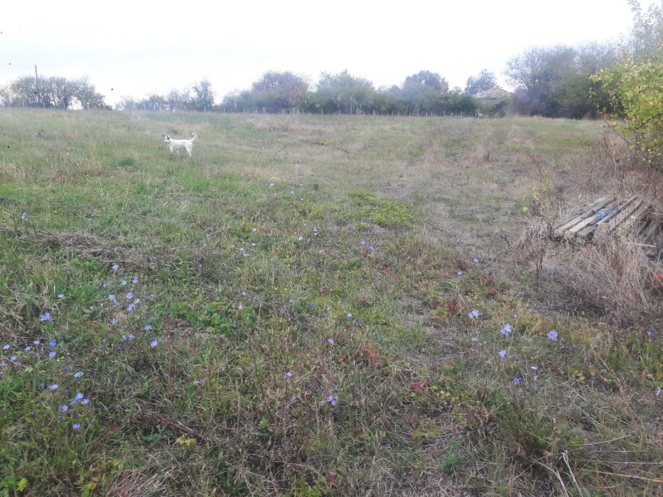 Голям парцел в 7855 Бракница