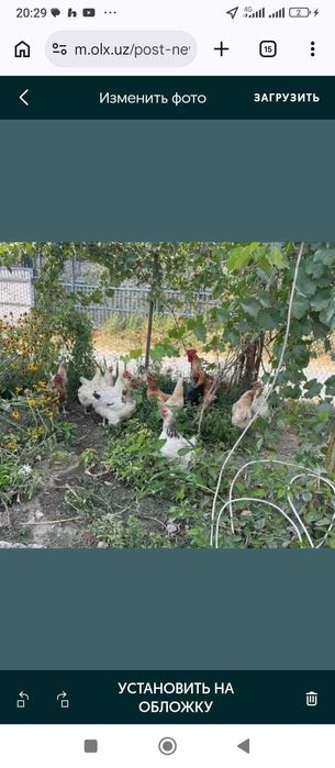 Уй дом дача сотилади