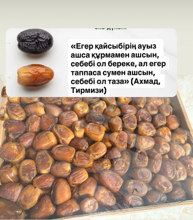 Финики суккари аджуа