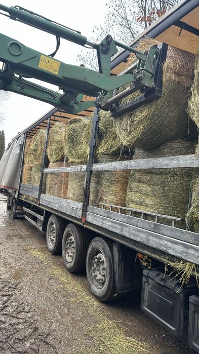 Baloti fan sau lucerna Rotunzi 40.Drept.500.La TIR>RO