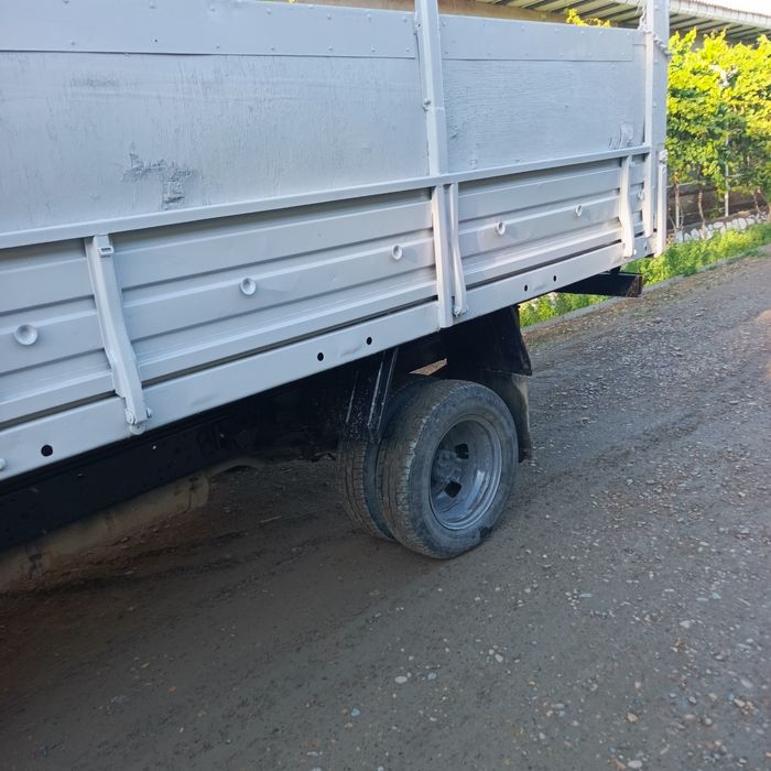 Газел бартавой змз