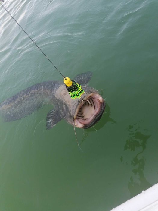 Примамка за риболов на сом на кльонк CLONK TEASER 150 и 200гр