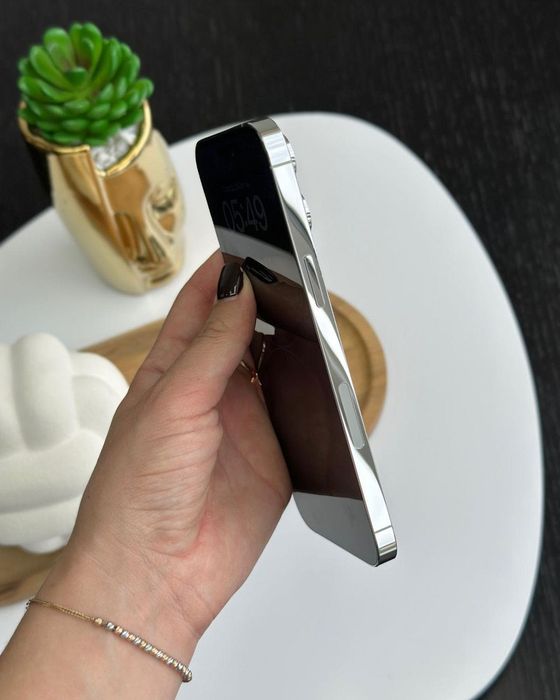 iPhone 14 Pro Max 256 Gb Silver Neverlock