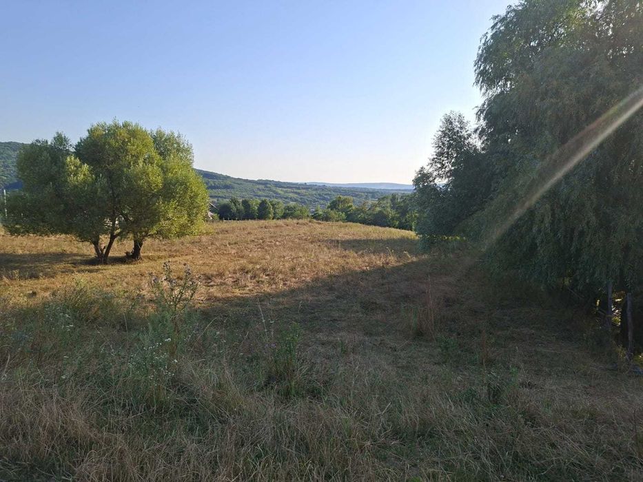 Teren Barnova Iasi