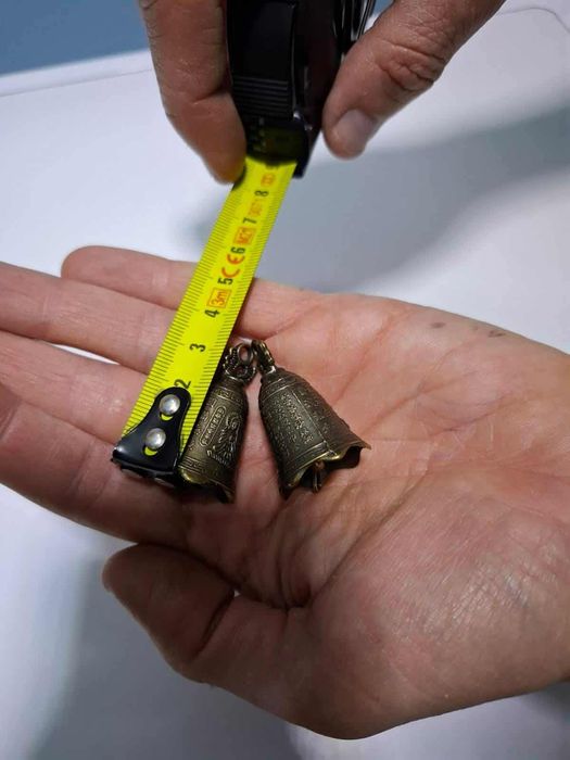 Малки японски камбанки