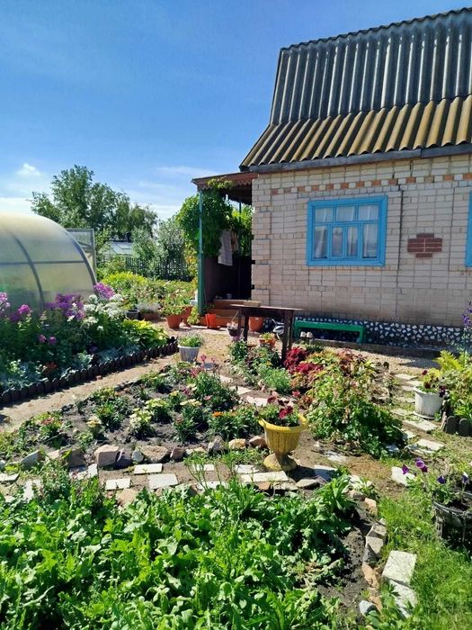 продам дачу с/о Борки