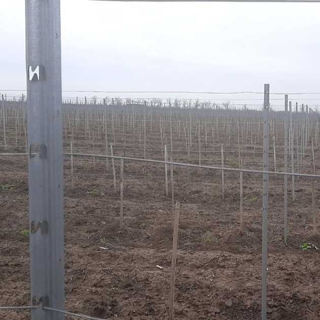 Поцинковани лозови колове 2.4 м / 1.5 мм