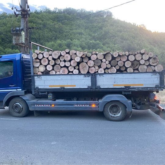 Lemn de foc esenta tare fag, carpen, stejar, cer, salcâm