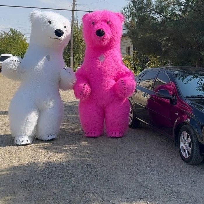 Айикчалар хизмати