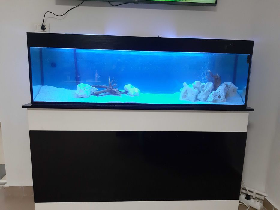 Acvariu 150x30x45 cu stand și toate accesoriile fără pesti. Sannicolau ...