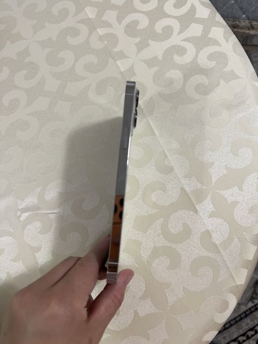 iPhone 13 Pro Max 256GB