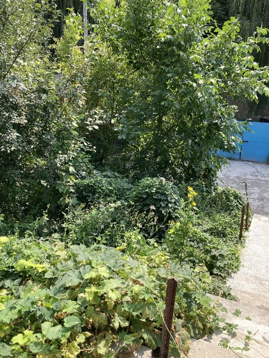 Сдам дом с сауной в аренду