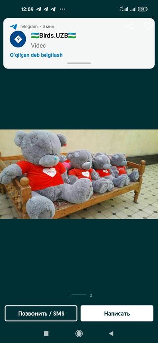 Teddy+kids+Teddi 30sm 3metrgacha