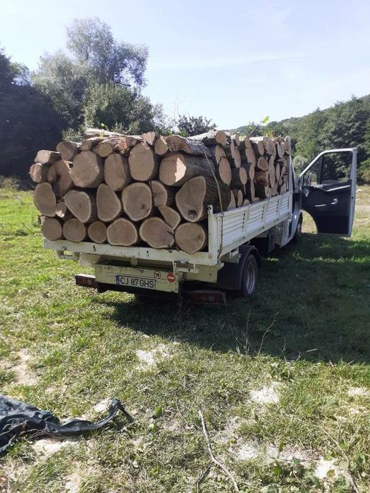 Vând lemne de foc la 250 de lei metru