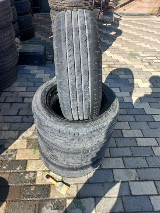 Kobalt diska mintnayd