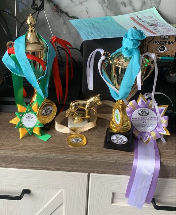 Элитный щенок Мопса!