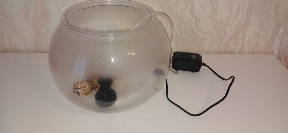 Аквариум, моторчик,ракушка.