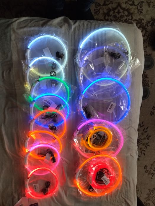 СВЕТЯЩИЕСЯ ошейники для собак