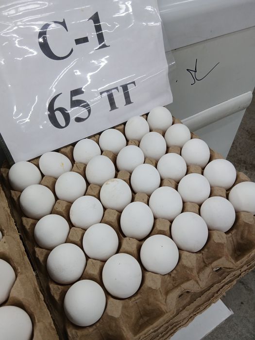 Яйцо по оптовой цене