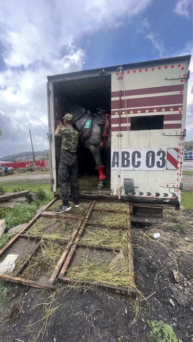 Продам Мерседес Коневоз