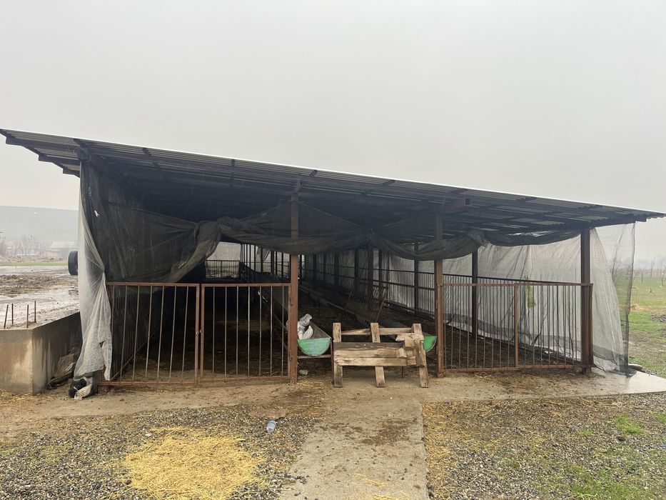 Тайёр бизнес сотилади