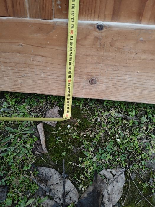 Масивни врати 3бр.плюс една подарък