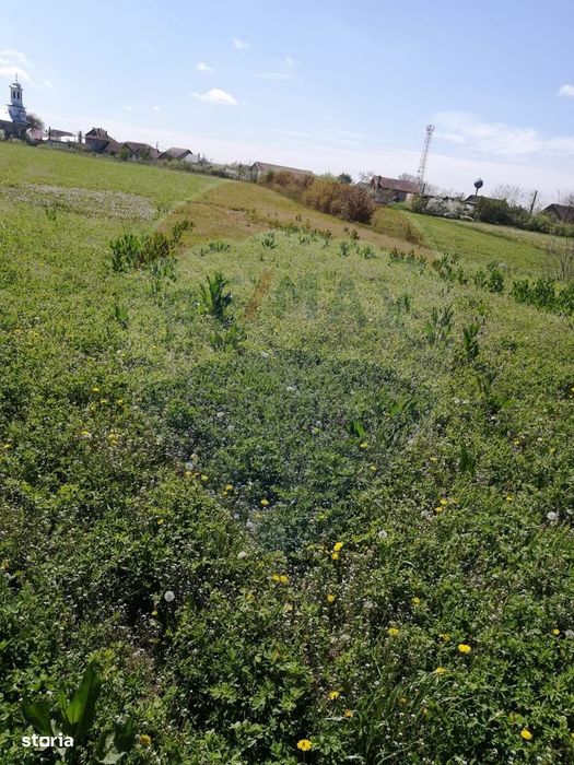 De vânzare teren intravilan, 6574 mp în Leș