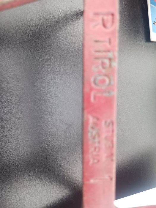 Алпийски австрийски котки