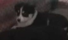 Самым заботливым и добрым.