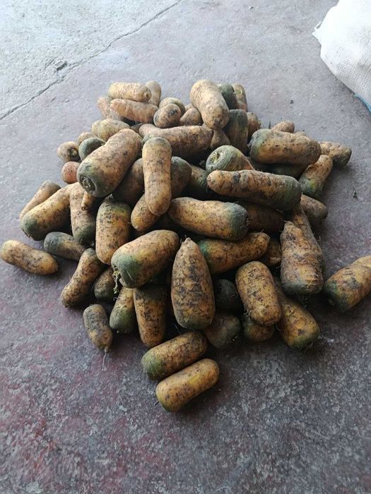 Ishonarli savzi maxsulotlari qulay va xamyonbob narxlarda