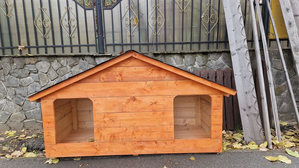 cotețe cățeluși și pisicuțe