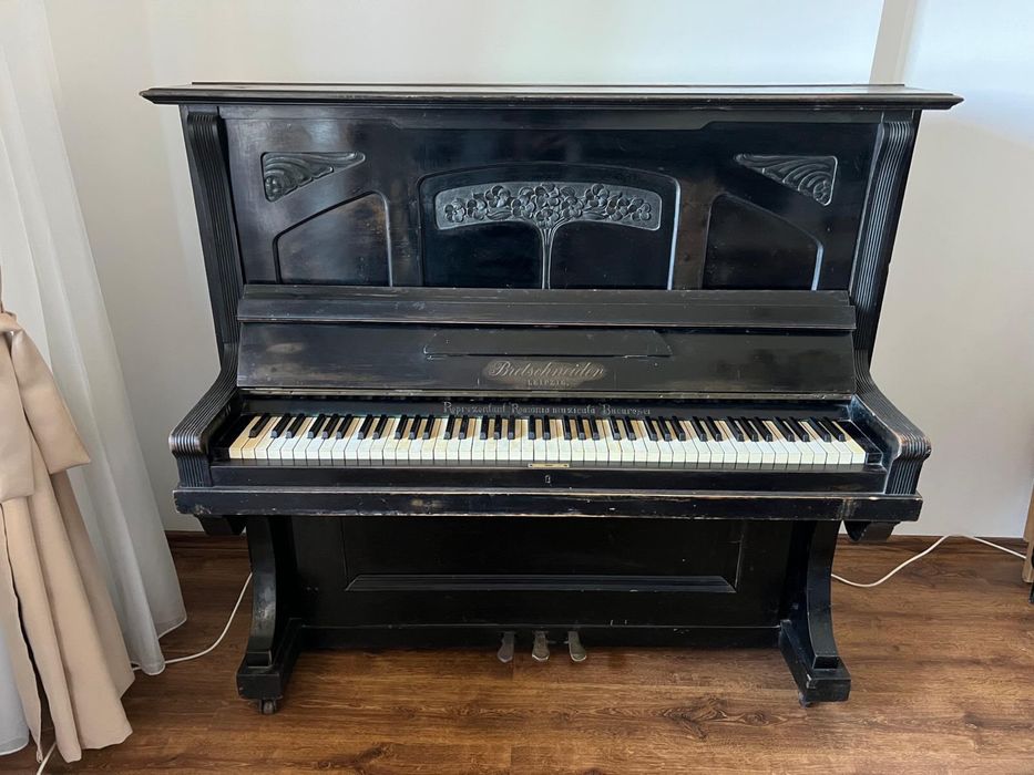 Pianina Bietschneider-Leipzig