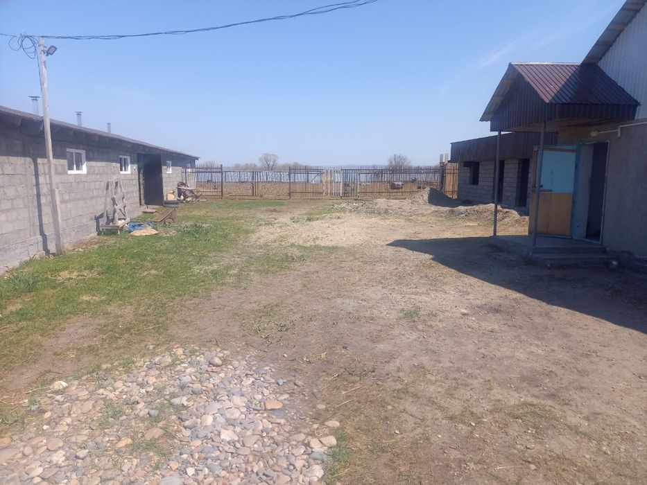 Крестьянское хозяйство