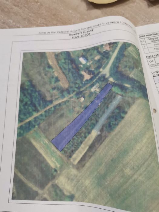 Vând teren extravilan in Necopoi