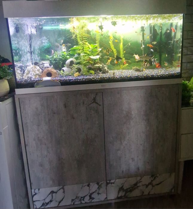 Acvariu 180 L Juwel