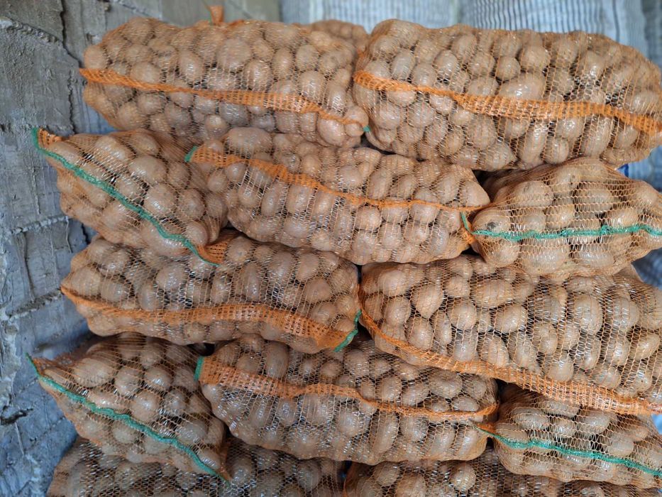 Cartofi consum Esme so Octa