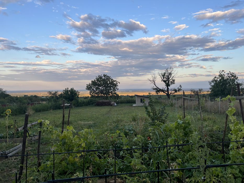 Teren intravilan pe Strada Principală Faraoanele | asfalt + utilități