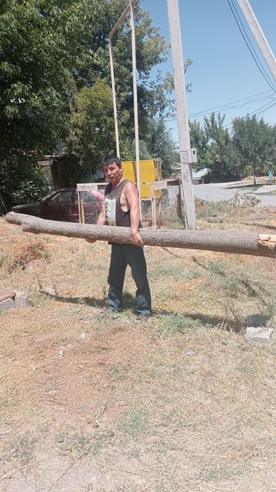 Услуги грузчиков