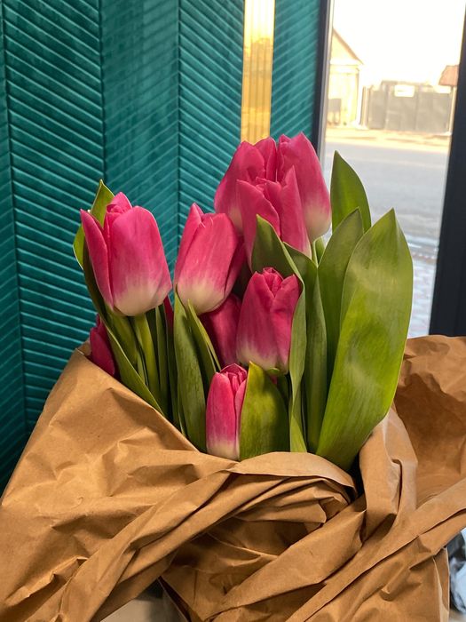 Тараз цветы Голландские тюльпаны