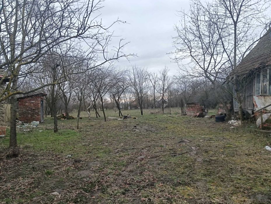 Casă/teren în Semlacul Mare jud. Timiș