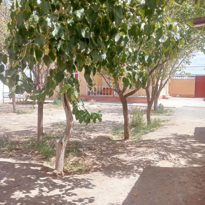 продаю коттедж хороший