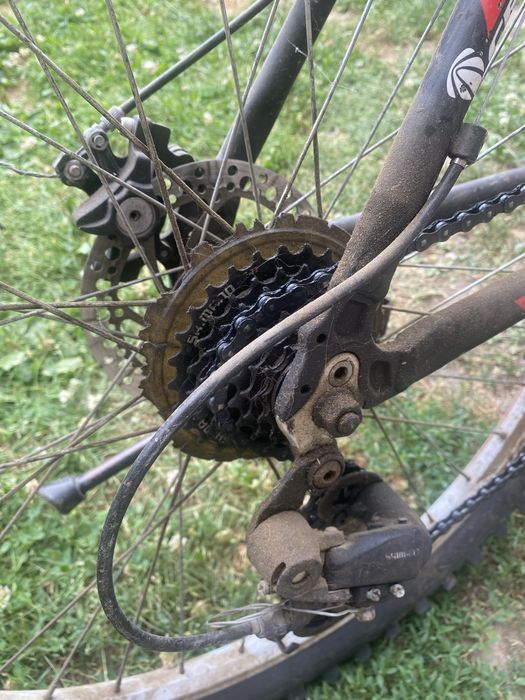 Vand bicicleta.